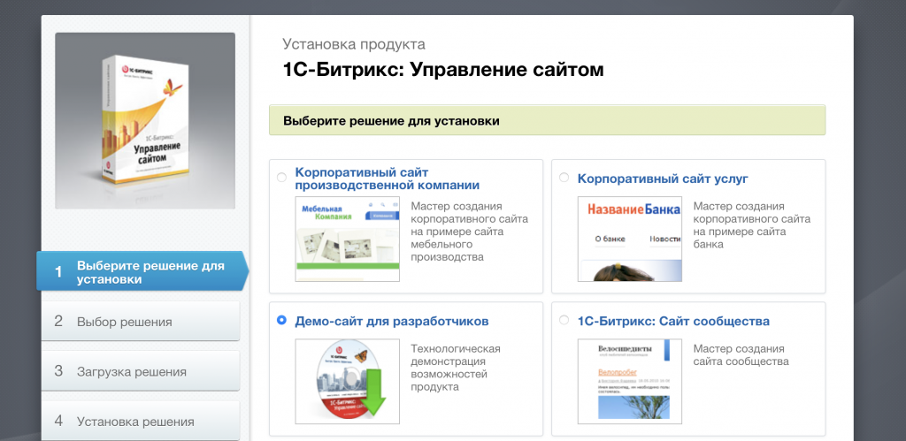4. Выбираем «Демо-сайт для разработчиков»